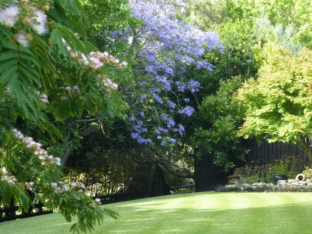 Thorold Country House Thames Exteriér fotografie